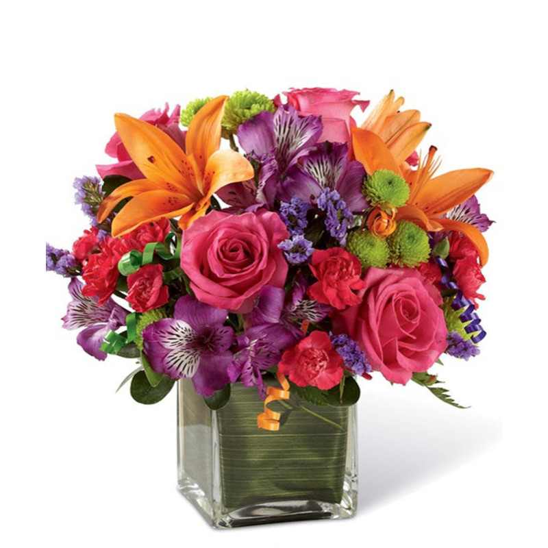 Celebration Anniversary - Same Day Delivery