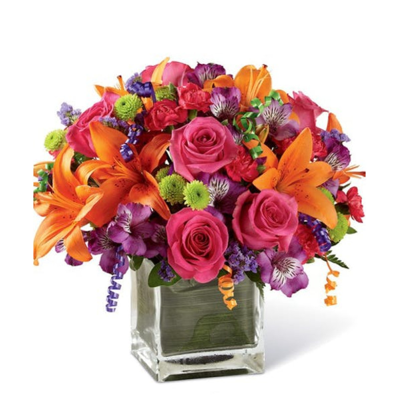 Celebration Baby Girl - Same Day Delivery