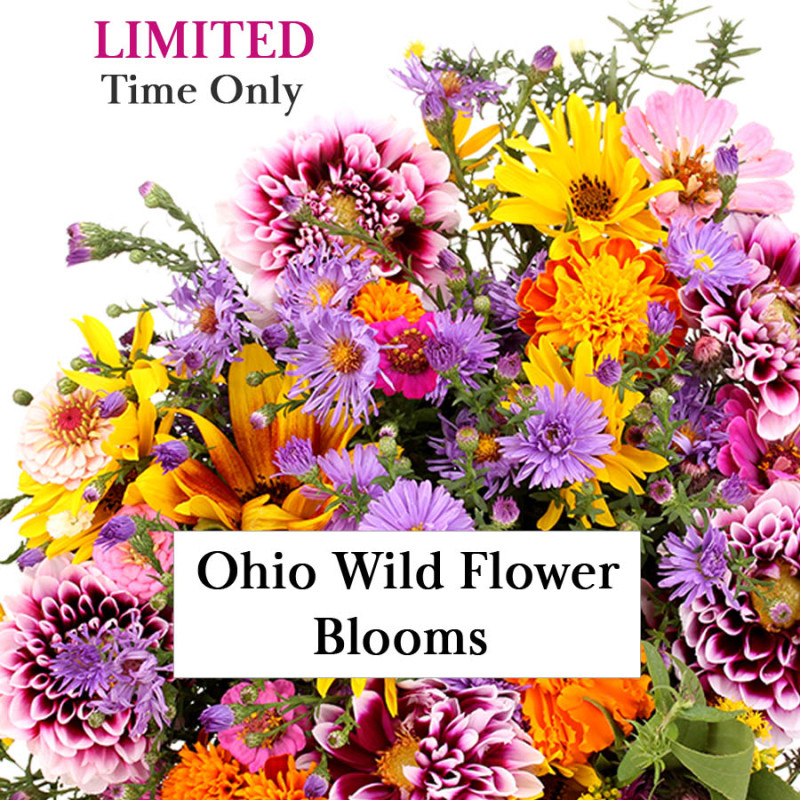 Ohio Wild Flower Blooms in a Vase - Same Day Delivery