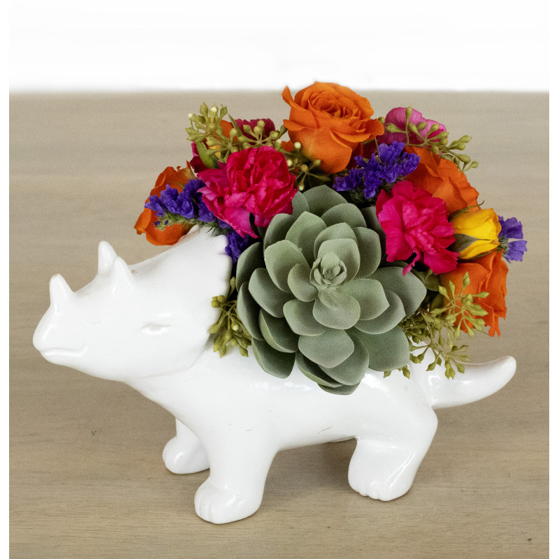 DinoTriceratops - Same Day Delivery