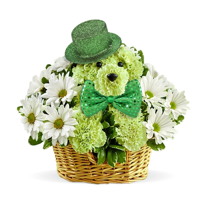 Doggone Lucky - Same Day Delivery