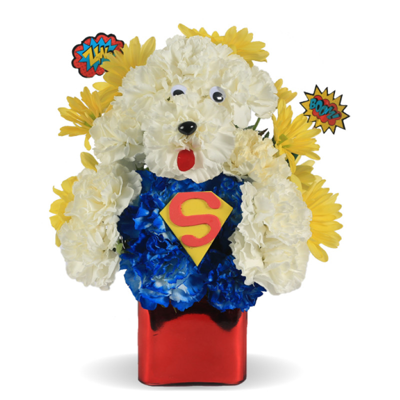 Superdog - Same Day Delivery