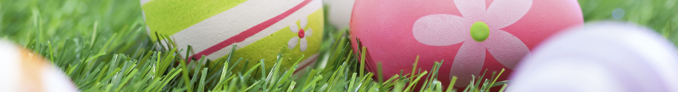 Easter Flowers and Gifts Columbus Ohio