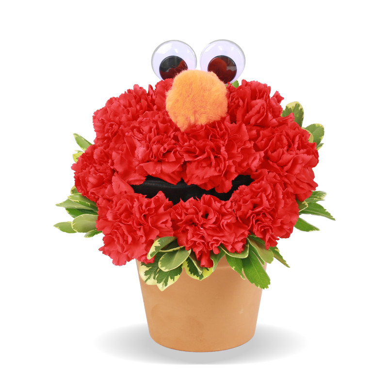 Elmo - Same Day Delivery