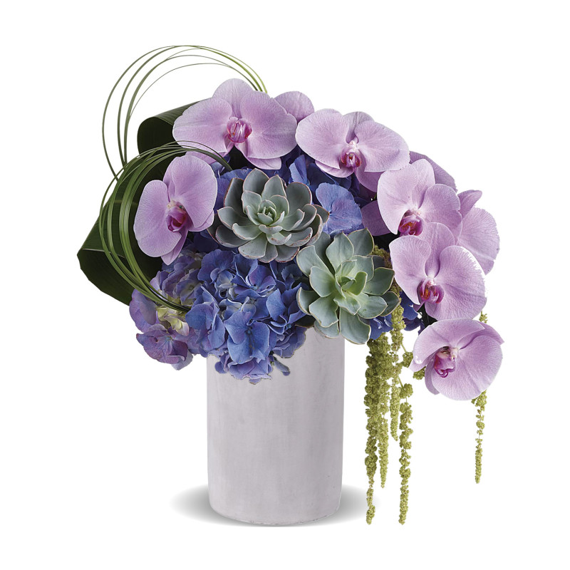 Exquisite Elegance - Same Day Delivery