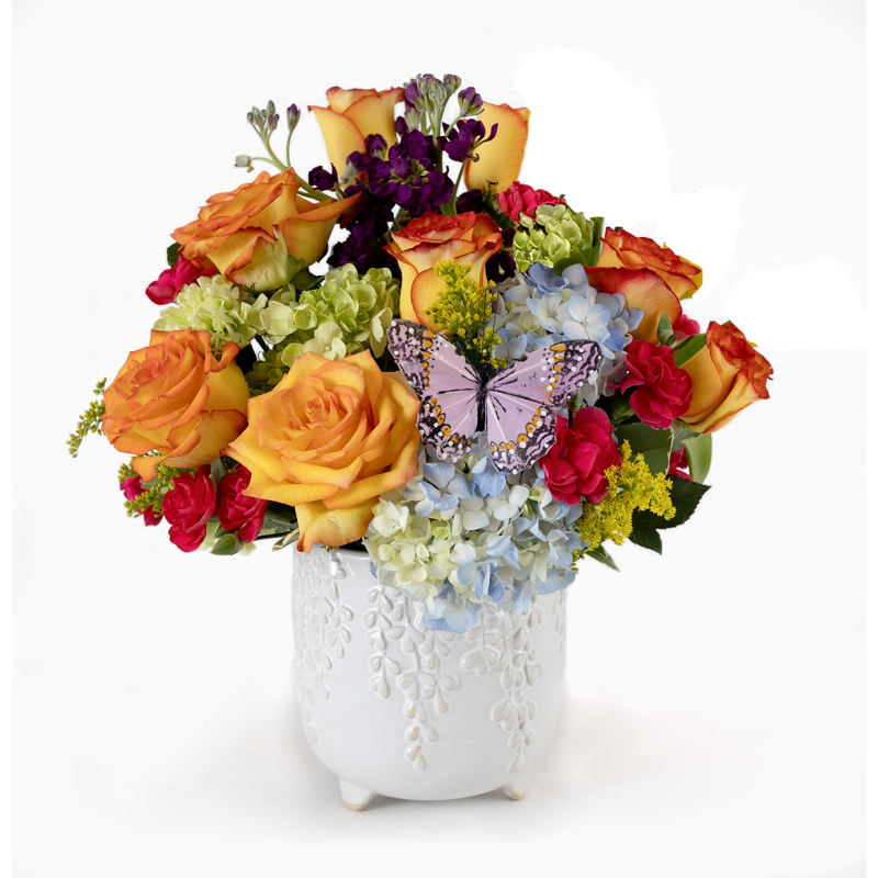 Fabulous Fiesta - Same Day Delivery