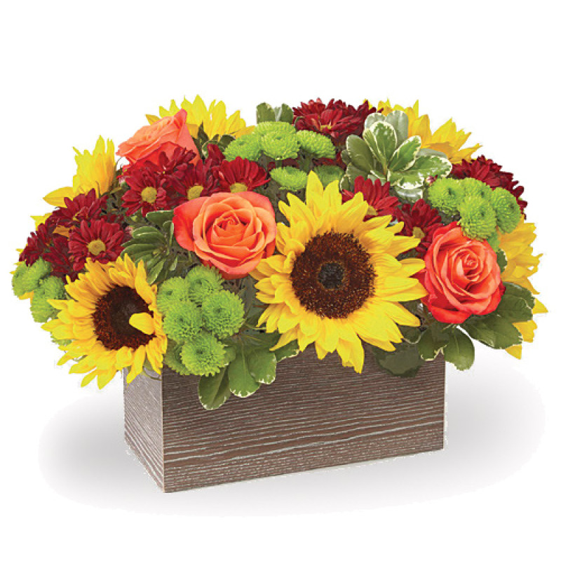 Happy Harvest - Same Day Delivery