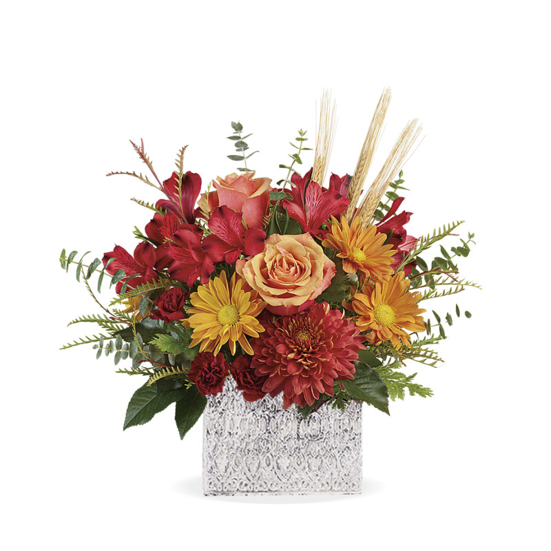 Fields of Fall - Same Day Delivery