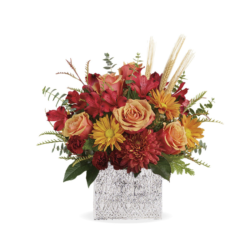 Fields of Fall - Same Day Delivery