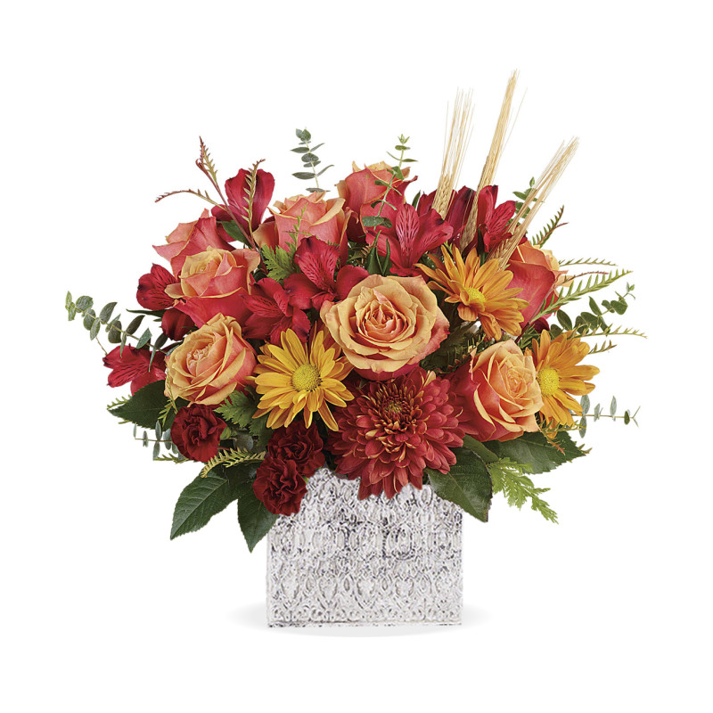 Fields of Fall - Same Day Delivery