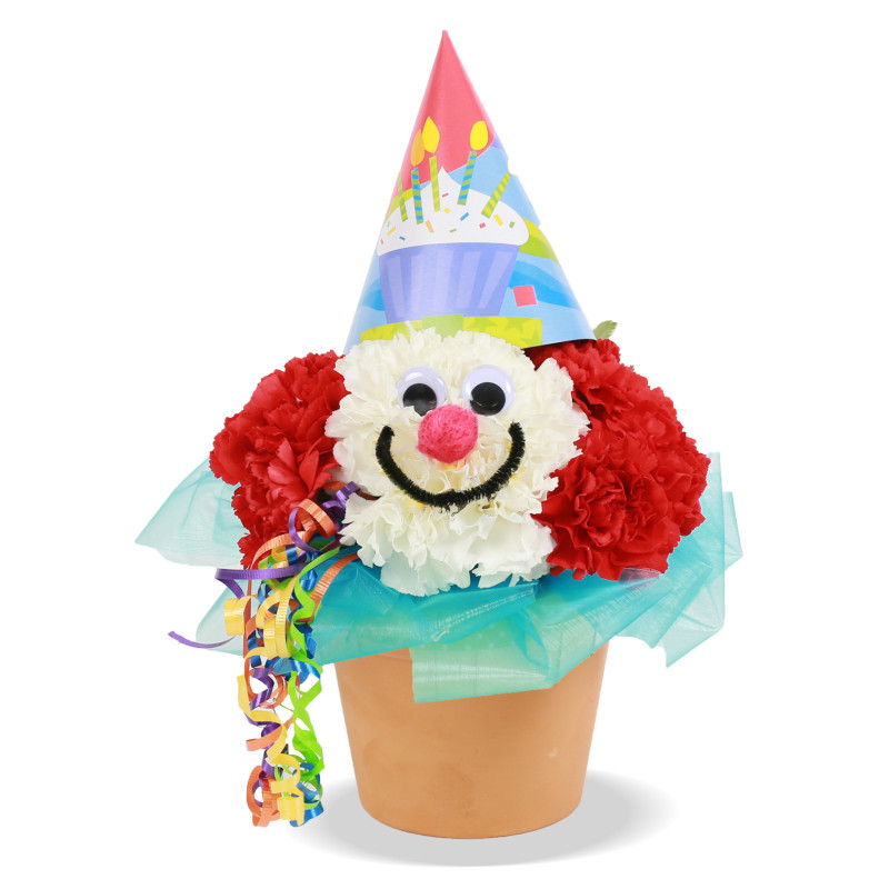 Flozo the Clown - Same Day Delivery