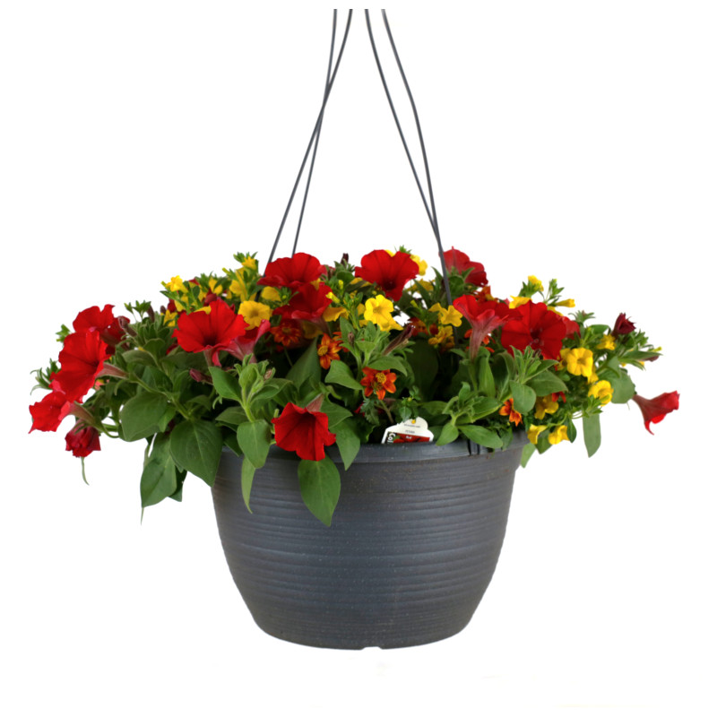 Hanging Basket Grower Mix - Same Day Delivery
