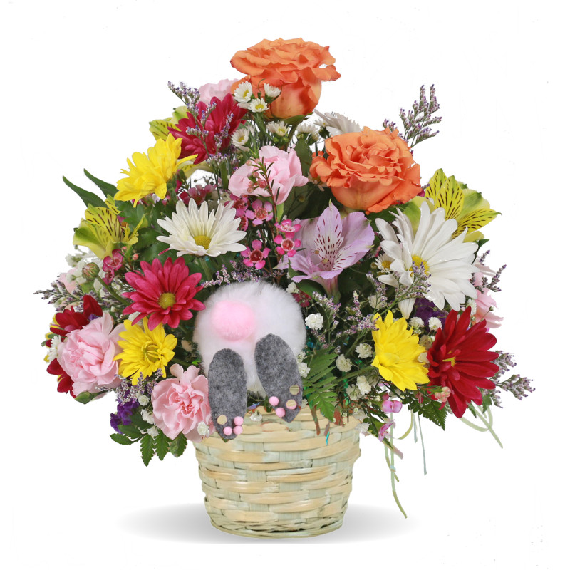 Hippity Hop Hop - Same Day Delivery