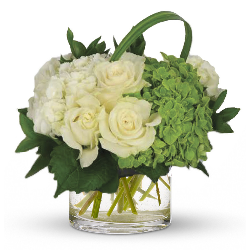 Hydrangea & Roses Medium - Same Day Delivery