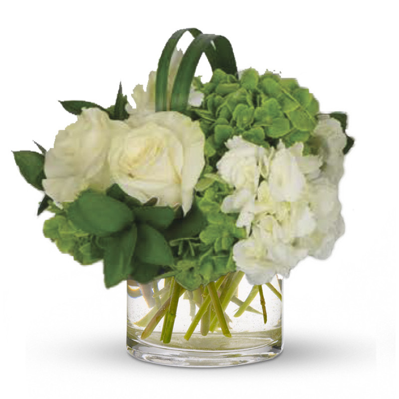 Hydrangea & Roses Small - Same Day Delivery