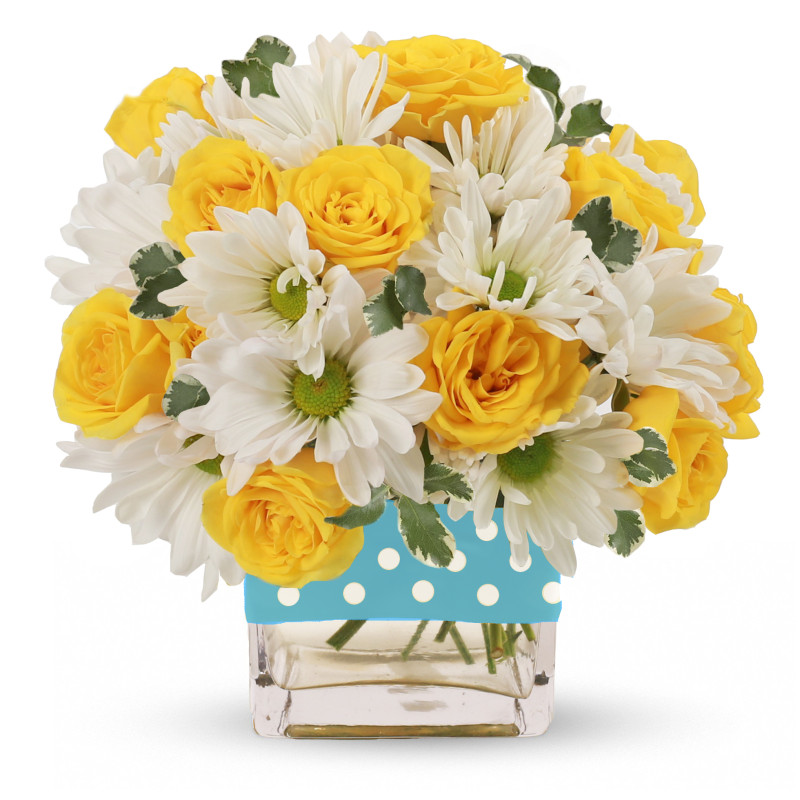 Adottable Baby Boy - Same Day Delivery