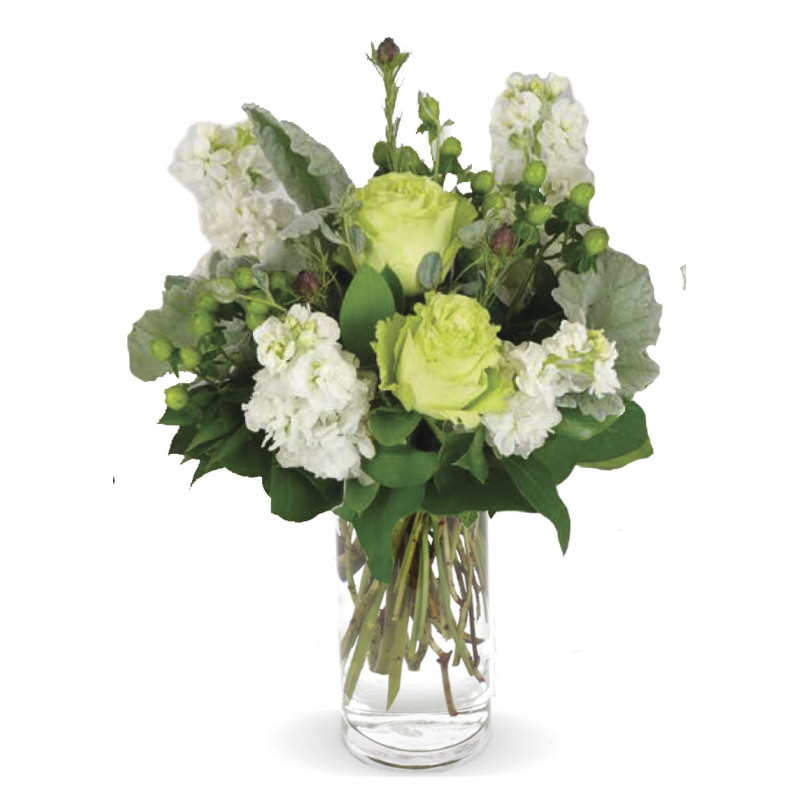 Jade & Ivory Medium - Same Day Delivery