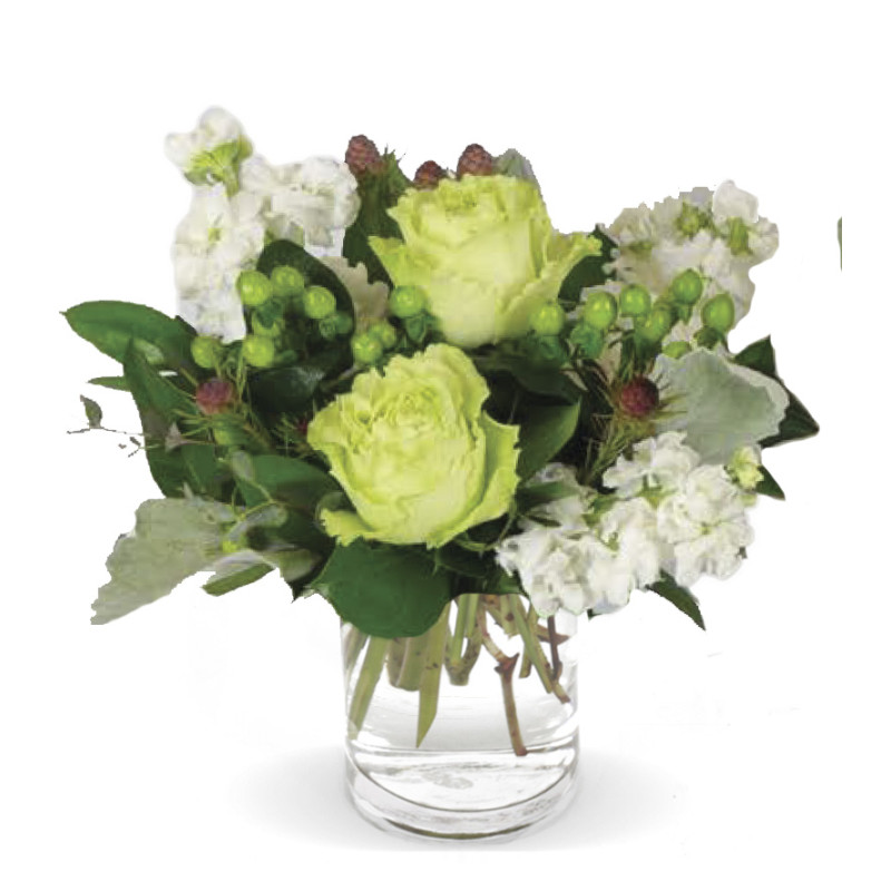 Jade & Ivory Small - Same Day Delivery