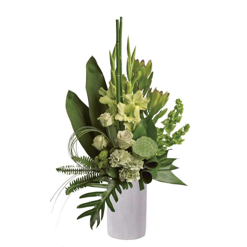 Limelight - Same Day Delivery