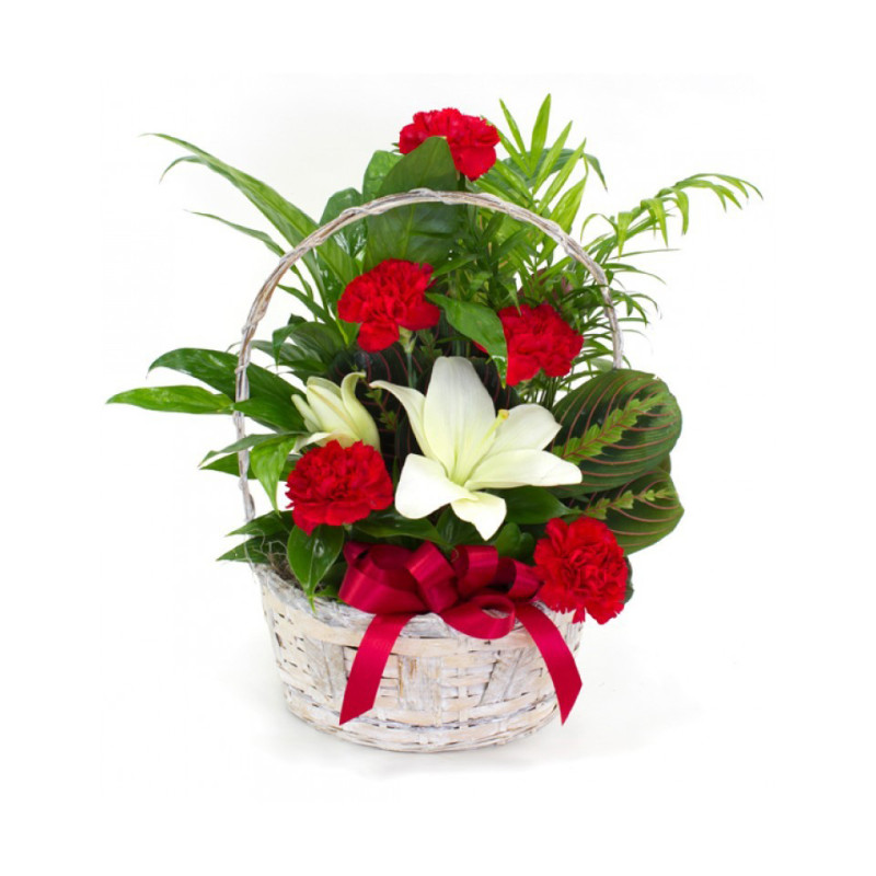 Medium Planter - Same Day Delivery