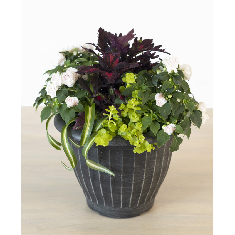 Mixed Annual Flower Planter - Same Day Delivery