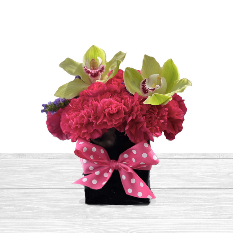 Mooberry Street - Same Day Delivery