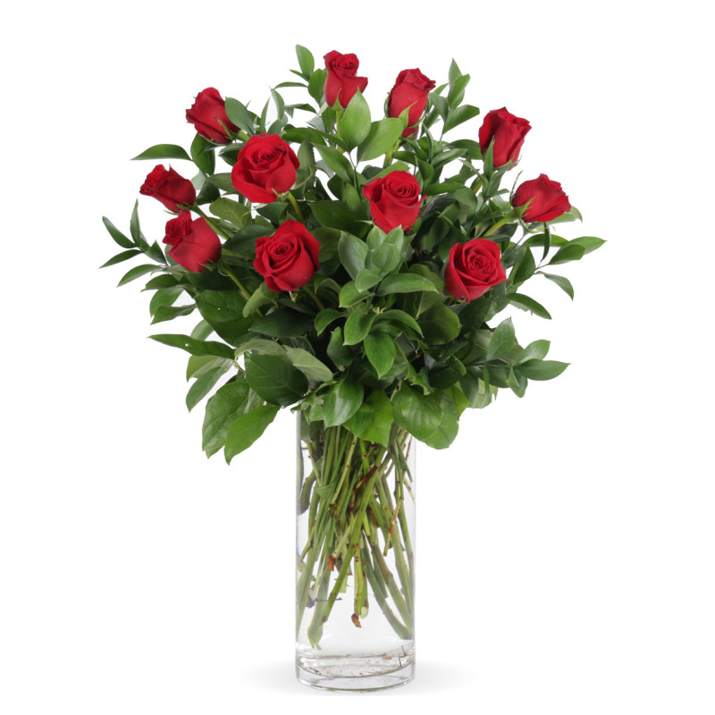 Traditional Dozen Roses Arranged - Same Day Delivery