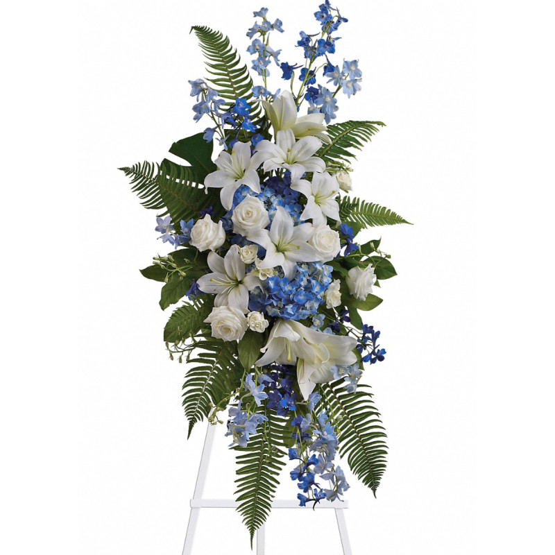 Ocean Breeze Spray - Same Day Delivery