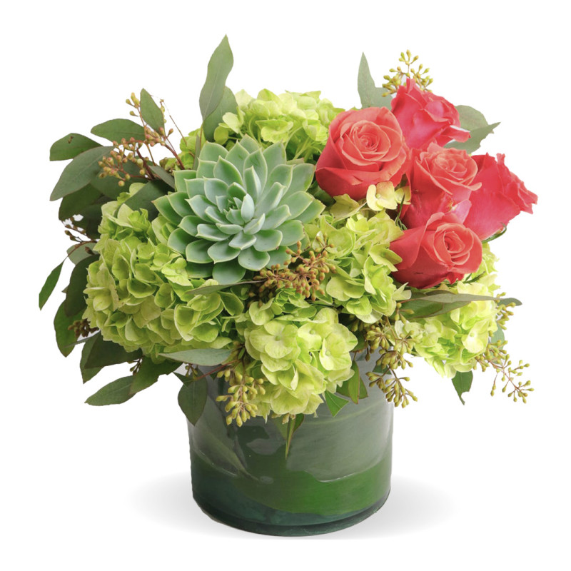 Orange Crush Large - Same Day Delivery