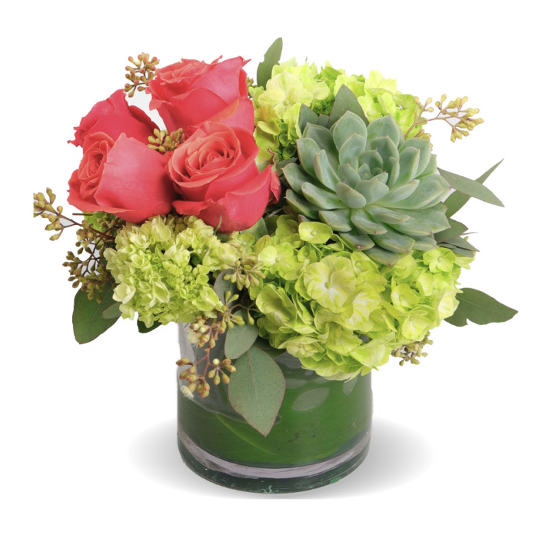 Orange Crush Medium - Same Day Delivery