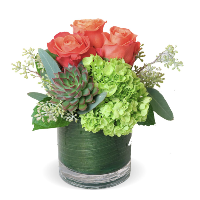 Orange Crush Small - Same Day Delivery