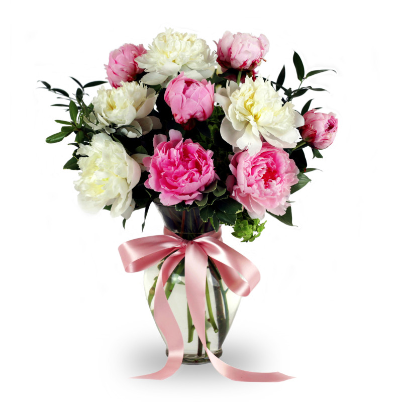 Peonies Garden - Same Day Delivery