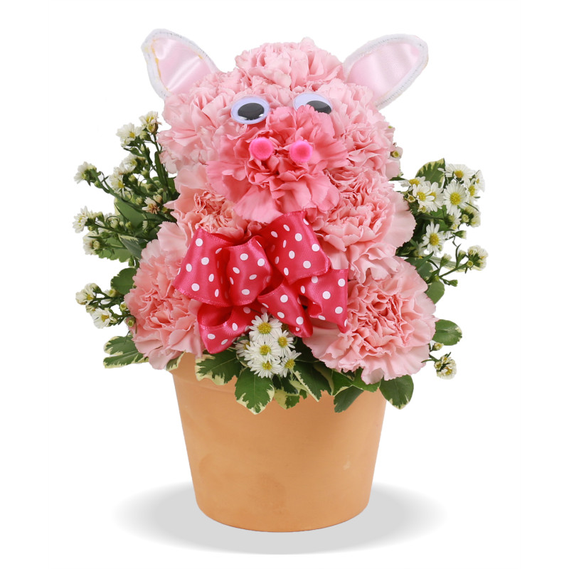 Piggly Wiggly Woo - Same Day Delivery