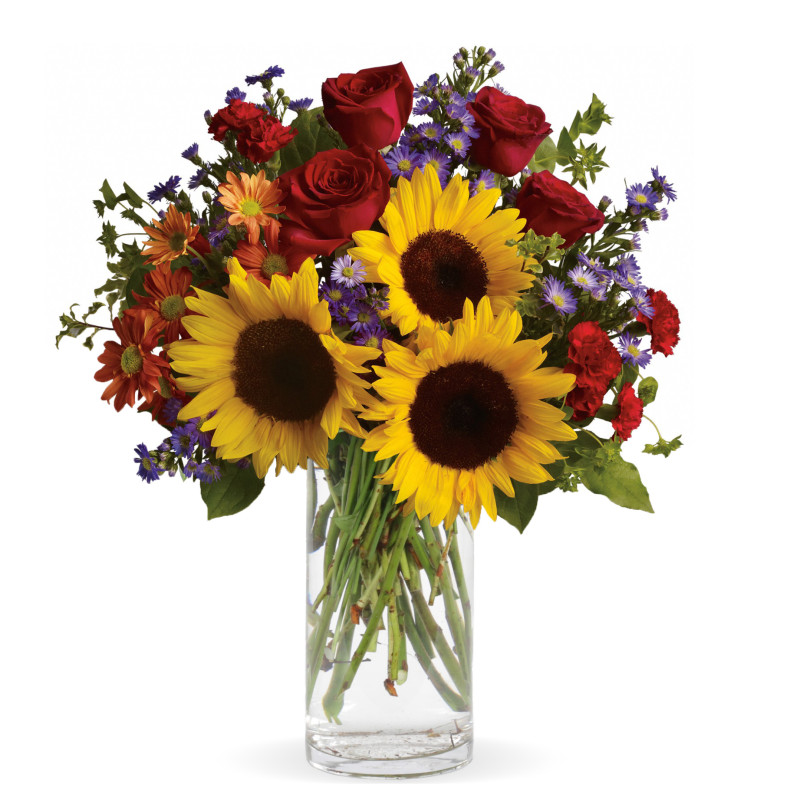 Pure Happiness of Worthington - Same Day Delivery