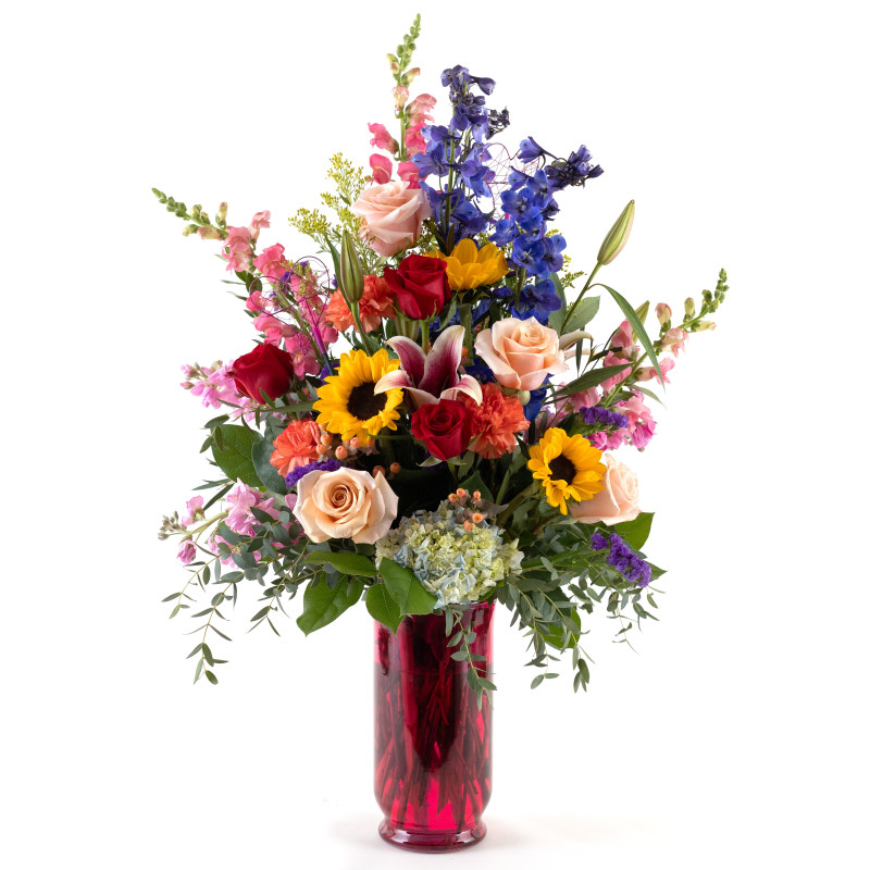 Razzle Dazzle - Same Day Delivery