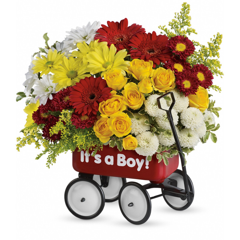 Baby Boy Wow Wagon - Same Day Delivery