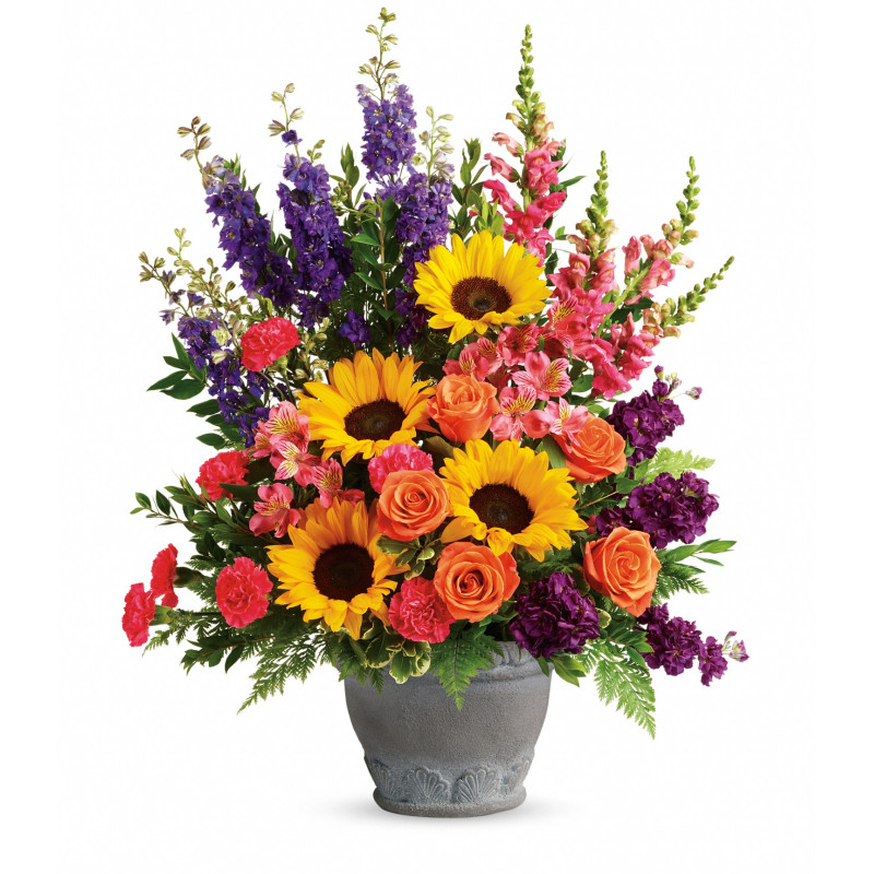 Hues of Hope - Same Day Delivery