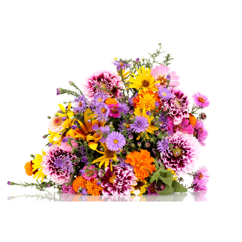 Ohio Wild Flower Blooms in a Vase - Same Day Delivery