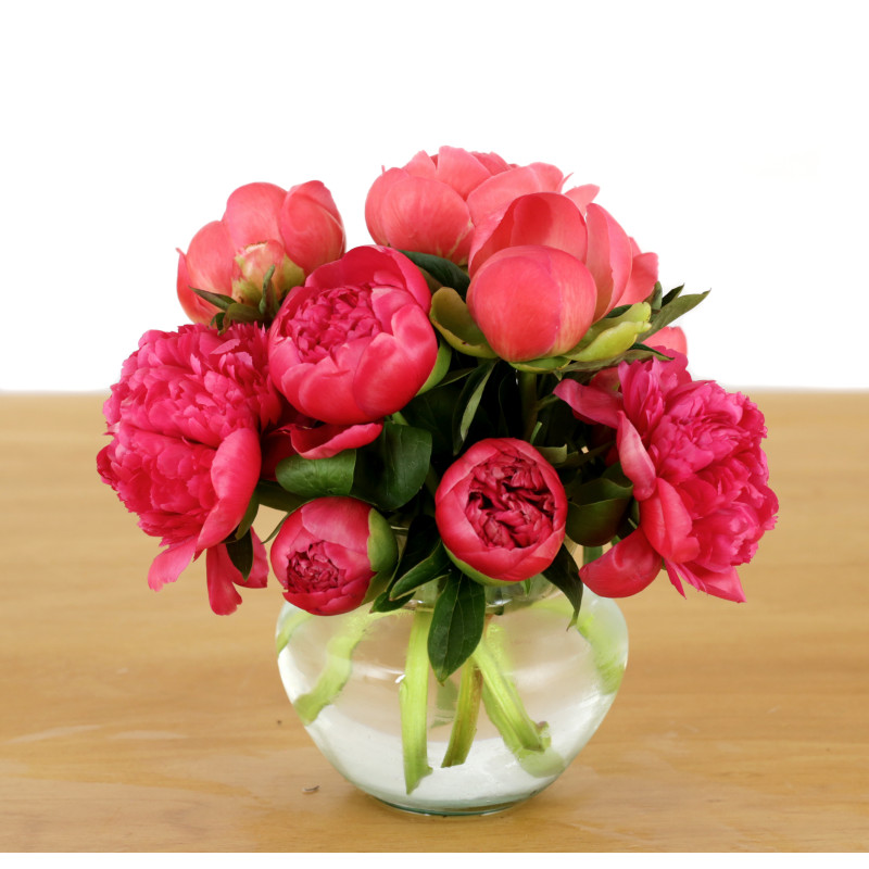 Simply Peonies - Same Day Delivery