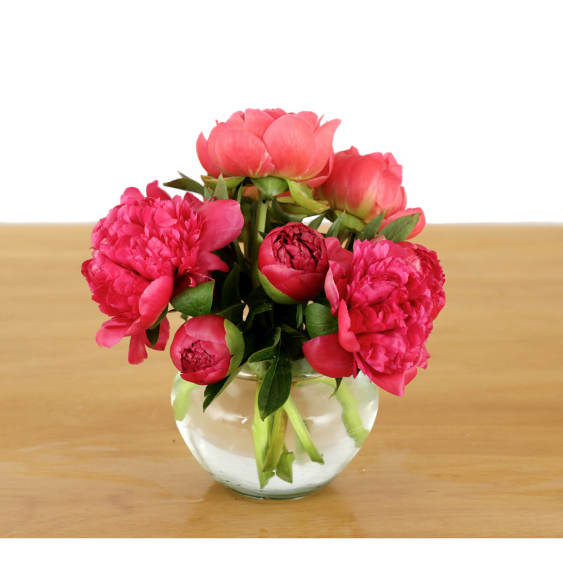 Simply Peonies - Same Day Delivery