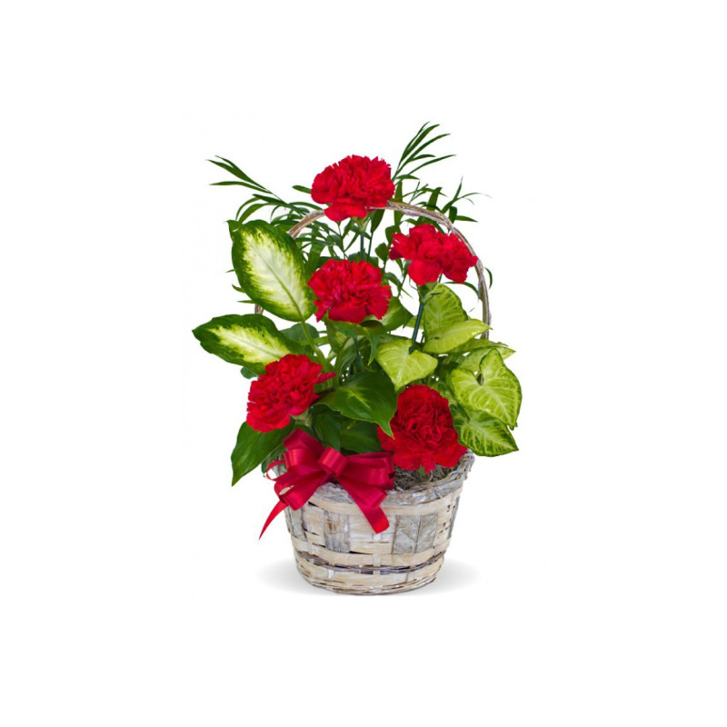 Small Planter - Same Day Delivery