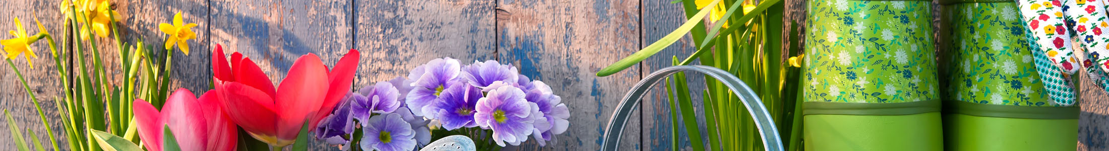 Spring Flower Bouquets Columbus, OH
