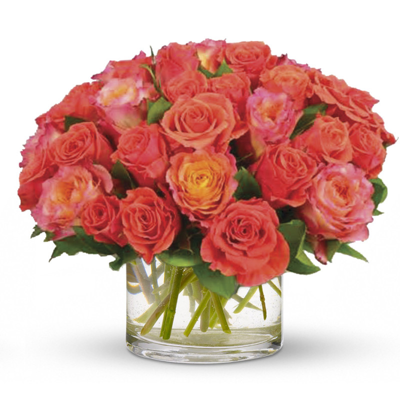 Starburst Roses Large - Same Day Delivery
