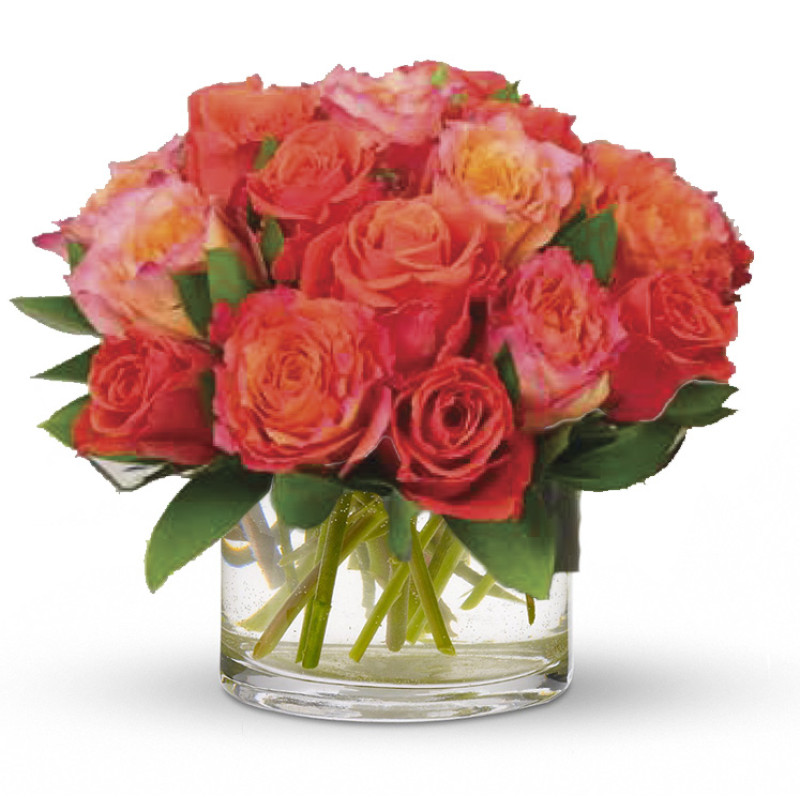 Starburst Roses Small - Same Day Delivery
