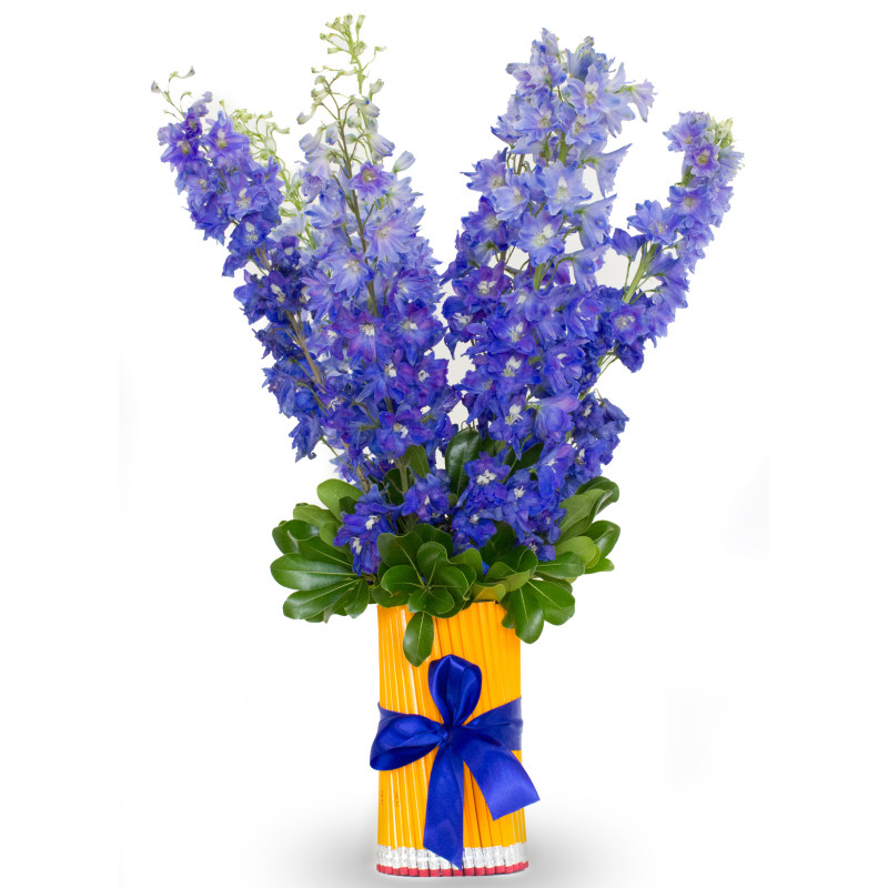 Stay Sharp - Same Day Delivery