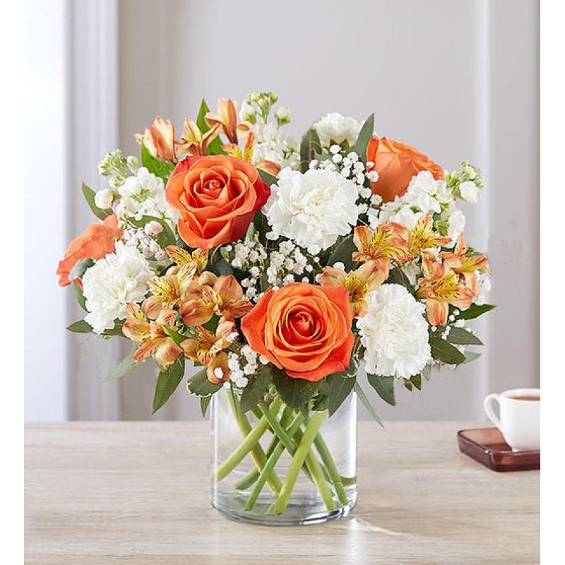 Sun Kissed Blooms - Same Day Delivery