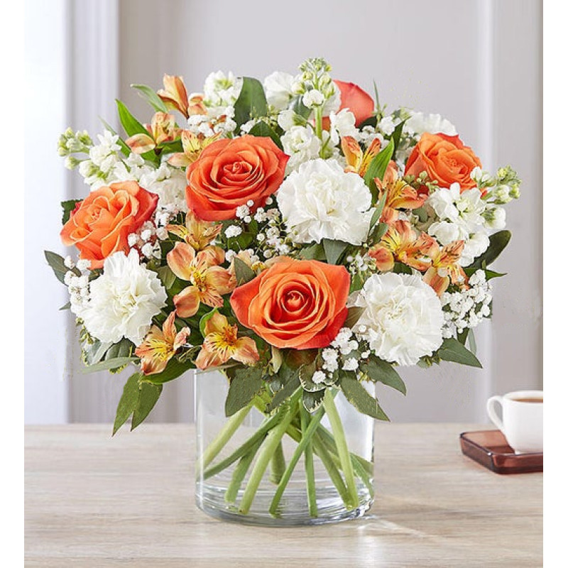 Sun Kissed Blooms - Same Day Delivery