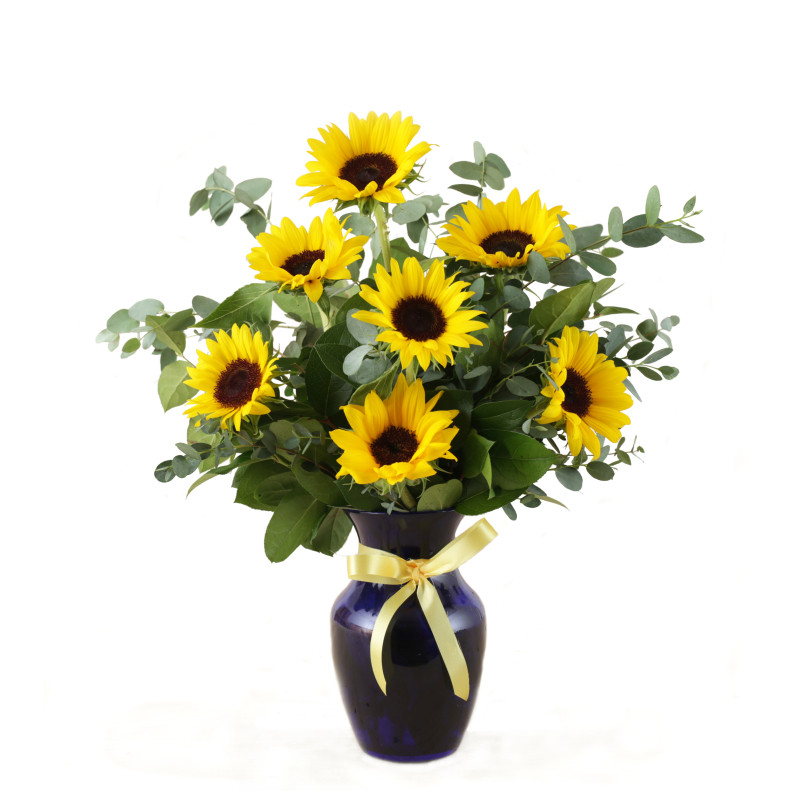Yellow Sunflower Glow - Same Day Delivery