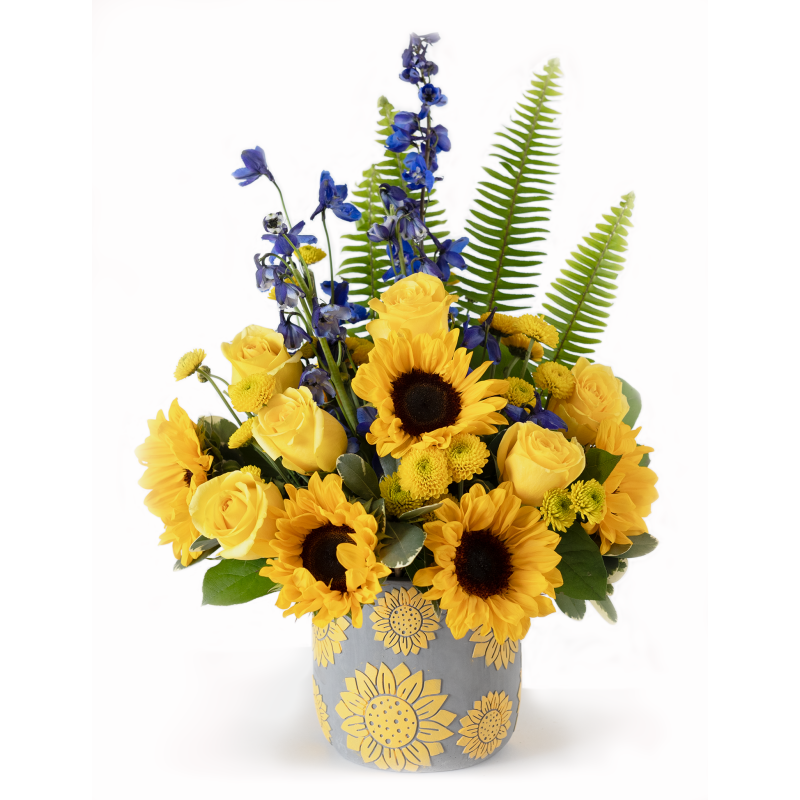 You Are My Sunshine - Same Day Delivery