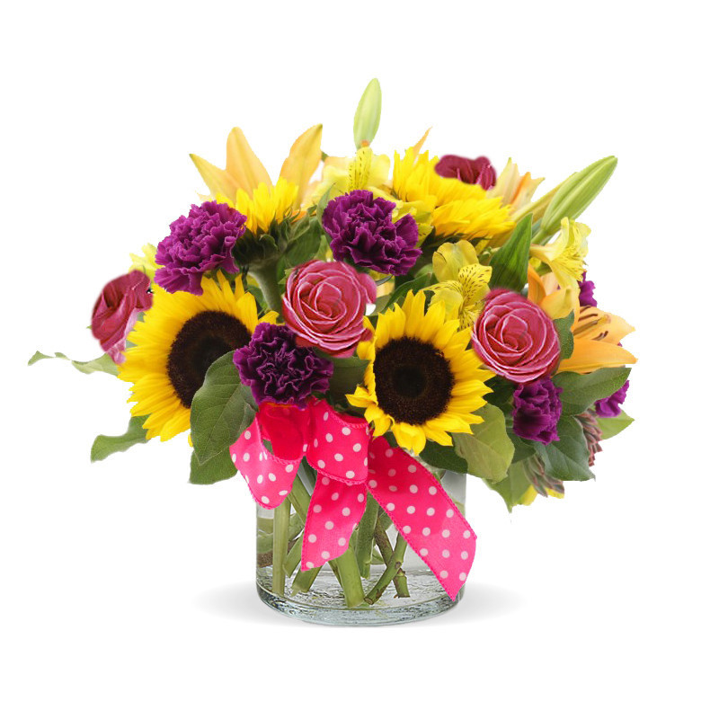 Sunny Sunny Daze - Same Day Delivery